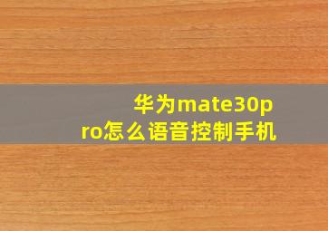 华为mate30pro怎么语音控制手机