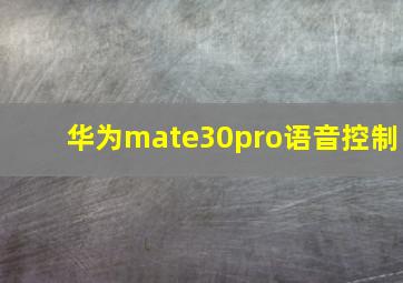 华为mate30pro语音控制