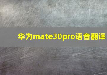 华为mate30pro语音翻译