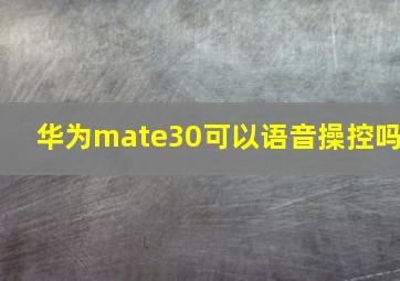 华为mate30可以语音操控吗