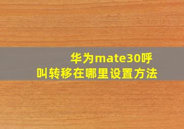 华为mate30呼叫转移在哪里设置方法