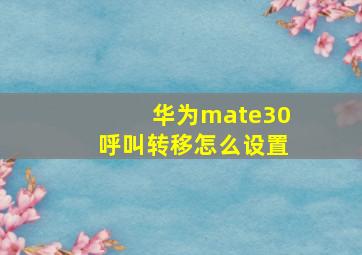 华为mate30呼叫转移怎么设置