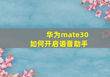 华为mate30如何开启语音助手