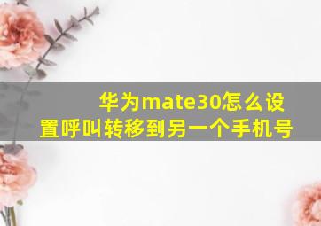 华为mate30怎么设置呼叫转移到另一个手机号