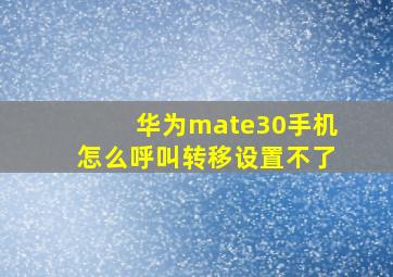 华为mate30手机怎么呼叫转移设置不了