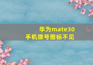 华为mate30手机拨号图标不见