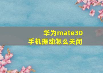 华为mate30手机振动怎么关闭