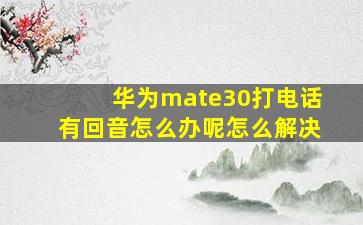 华为mate30打电话有回音怎么办呢怎么解决