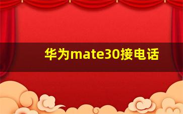 华为mate30接电话