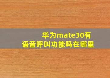 华为mate30有语音呼叫功能吗在哪里