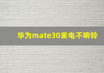 华为mate30来电不响铃