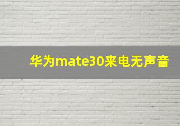 华为mate30来电无声音