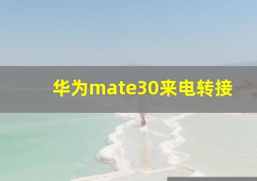 华为mate30来电转接