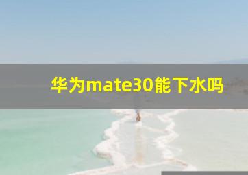 华为mate30能下水吗