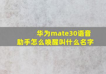 华为mate30语音助手怎么唤醒叫什么名字