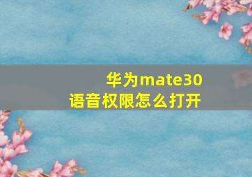 华为mate30语音权限怎么打开