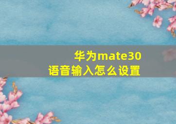 华为mate30语音输入怎么设置