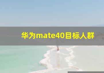 华为mate40目标人群