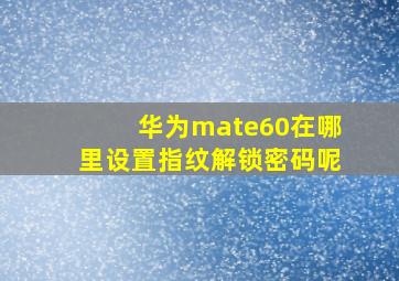 华为mate60在哪里设置指纹解锁密码呢