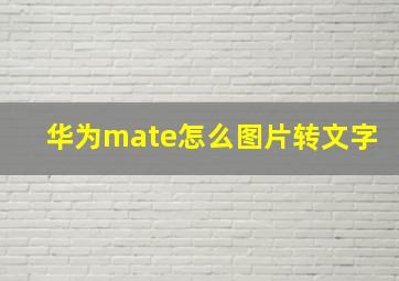 华为mate怎么图片转文字