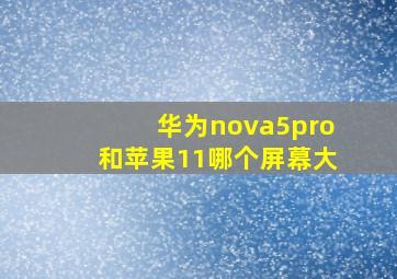 华为nova5pro和苹果11哪个屏幕大