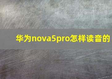 华为nova5pro怎样读音的