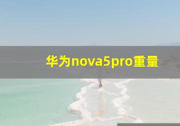 华为nova5pro重量