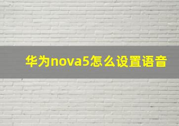 华为nova5怎么设置语音