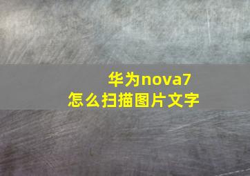 华为nova7怎么扫描图片文字