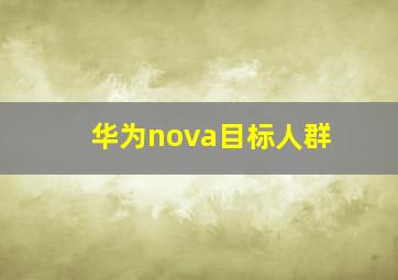 华为nova目标人群