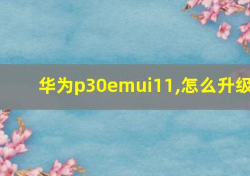 华为p30emui11,怎么升级