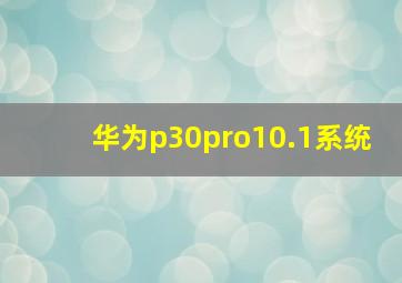 华为p30pro10.1系统