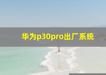 华为p30pro出厂系统