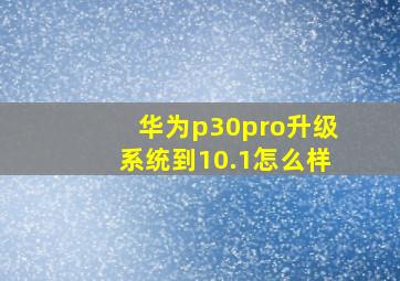 华为p30pro升级系统到10.1怎么样