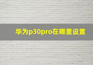 华为p30pro在哪里设置