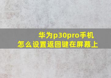 华为p30pro手机怎么设置返回键在屏幕上