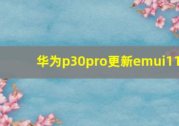 华为p30pro更新emui11