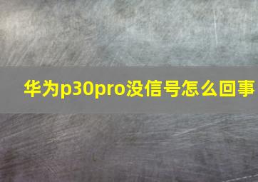 华为p30pro没信号怎么回事