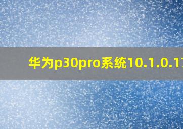 华为p30pro系统10.1.0.170