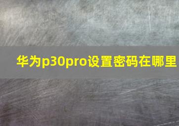 华为p30pro设置密码在哪里