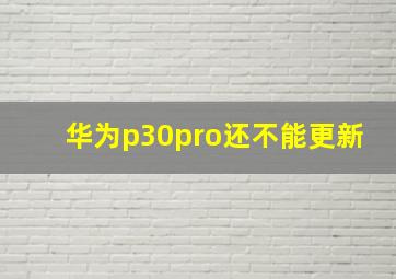 华为p30pro还不能更新