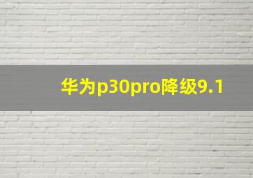 华为p30pro降级9.1