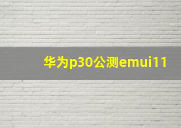 华为p30公测emui11