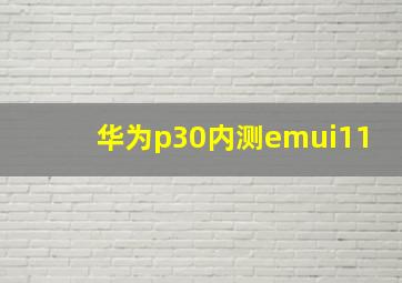 华为p30内测emui11