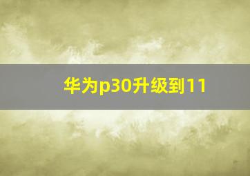 华为p30升级到11