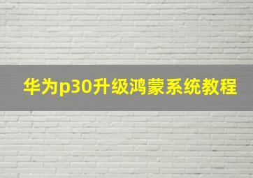 华为p30升级鸿蒙系统教程