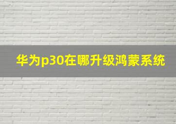 华为p30在哪升级鸿蒙系统