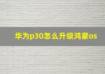 华为p30怎么升级鸿蒙os