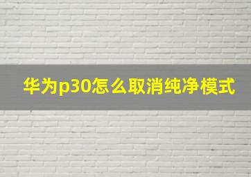 华为p30怎么取消纯净模式