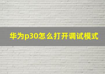 华为p30怎么打开调试模式